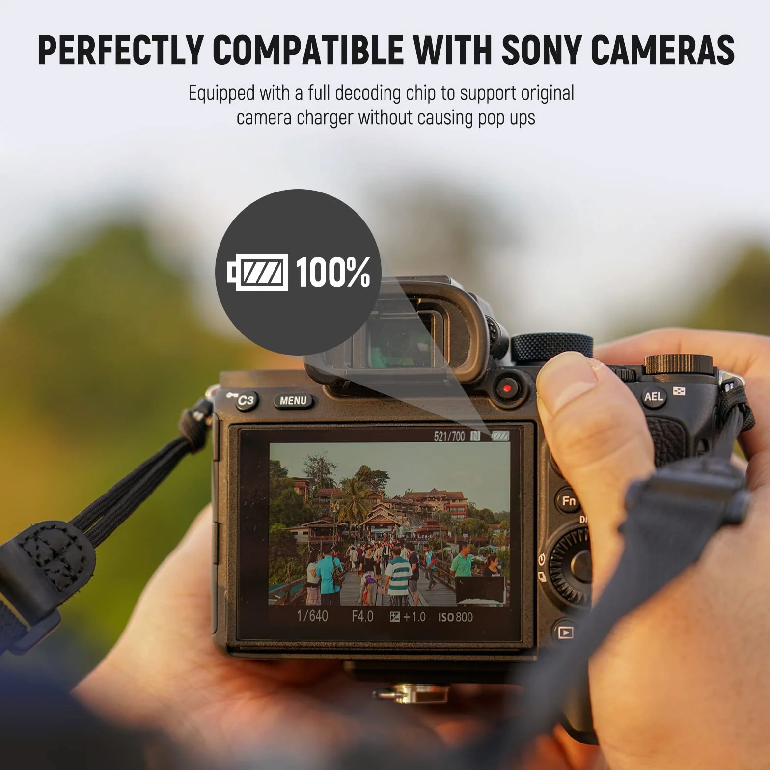 NEEWER NP-FZ100 2400mAh Batteria per Sony A7CII A7III ZV-E1, Cavo di Ricarica USB-C, Compatibile con Sony A7CII ZV-E1 A7III A7IV FX3 FX30 A6700 A1 A7C A7CR A7RIV A7RV A7SIII A9II A9 Fotocamere