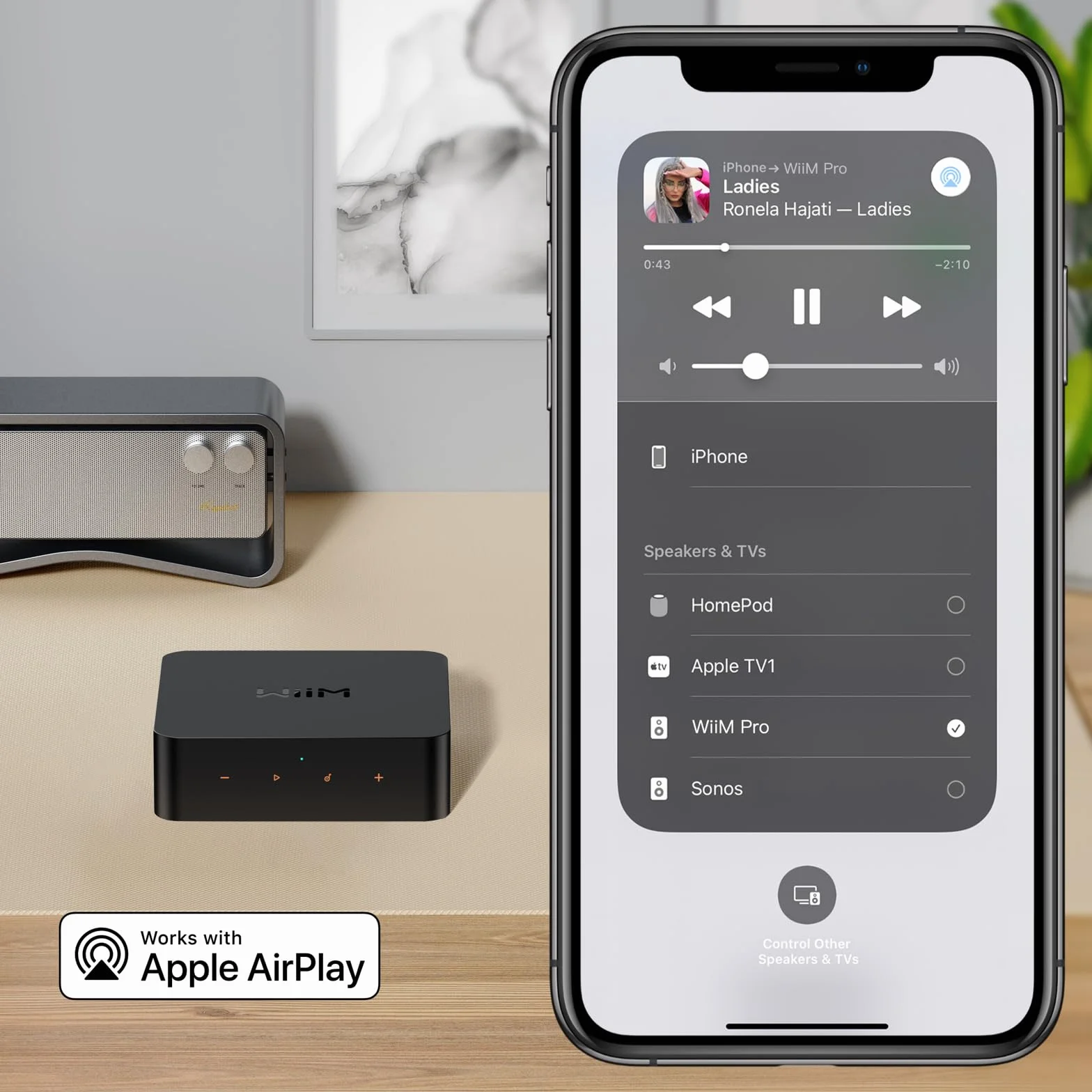 WiiM Pro AirPlay 2 Ricevitore Bluetooth WiFi Multiroom Streamer Audio Hi-Res