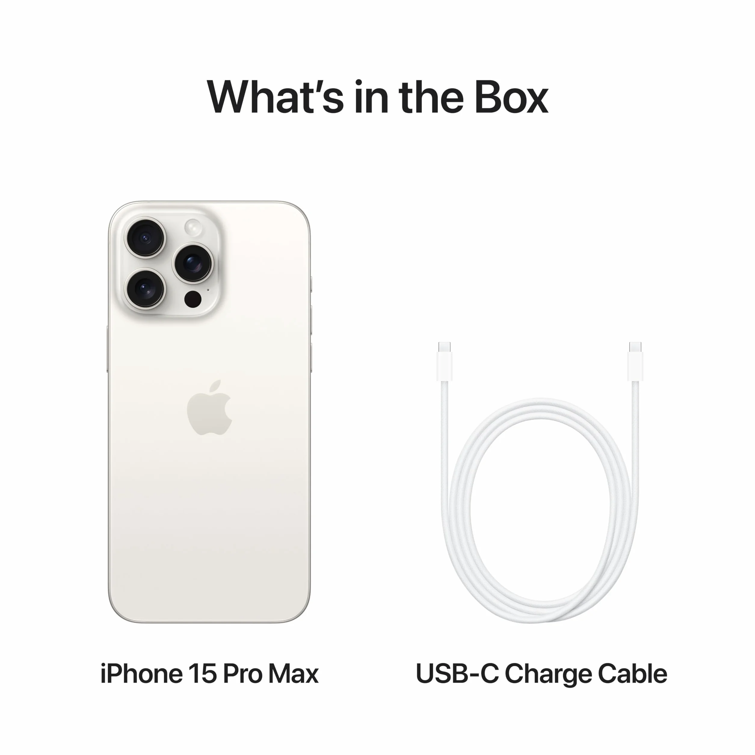 Apple iPhone 15 Pro Max 256 GB Titanio Bianco Ricondizionato