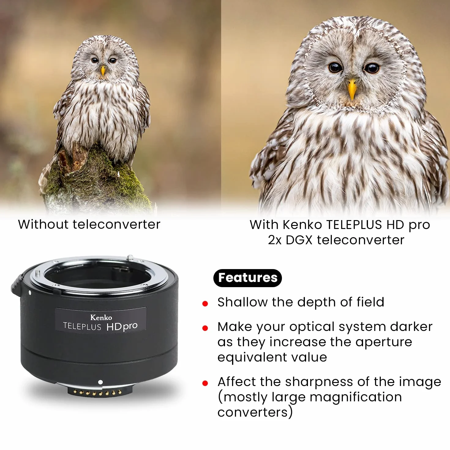 Kenko Teleconverter Teleplus HD PRO 2x DGX per Nikon F, prodotto in Giappone, 625293