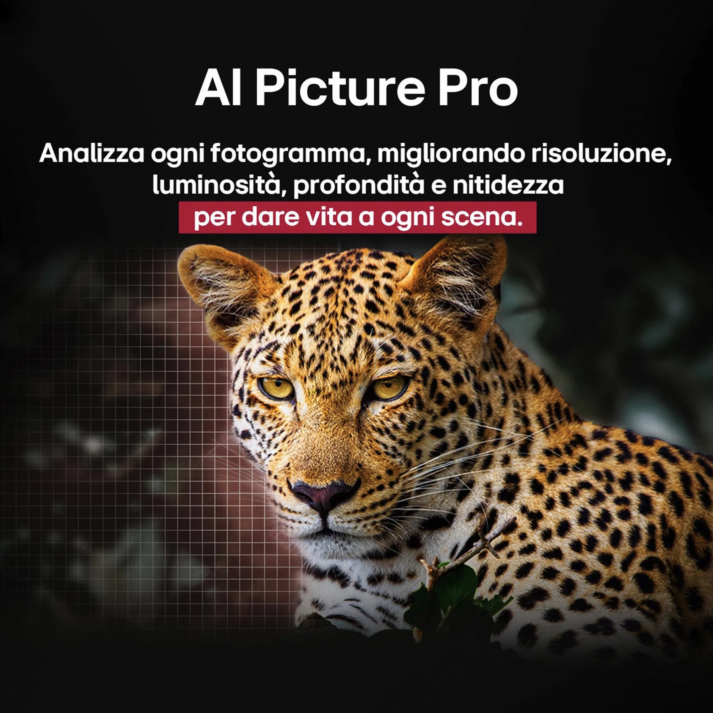 LG OLED evo C5 Smart TV 48 pollici 4K Processore α9 Gen8 webOS Dolby Vision Atmos VRR GSYNC 4K@144Hz HDMI 2.1 OLED48C56LB