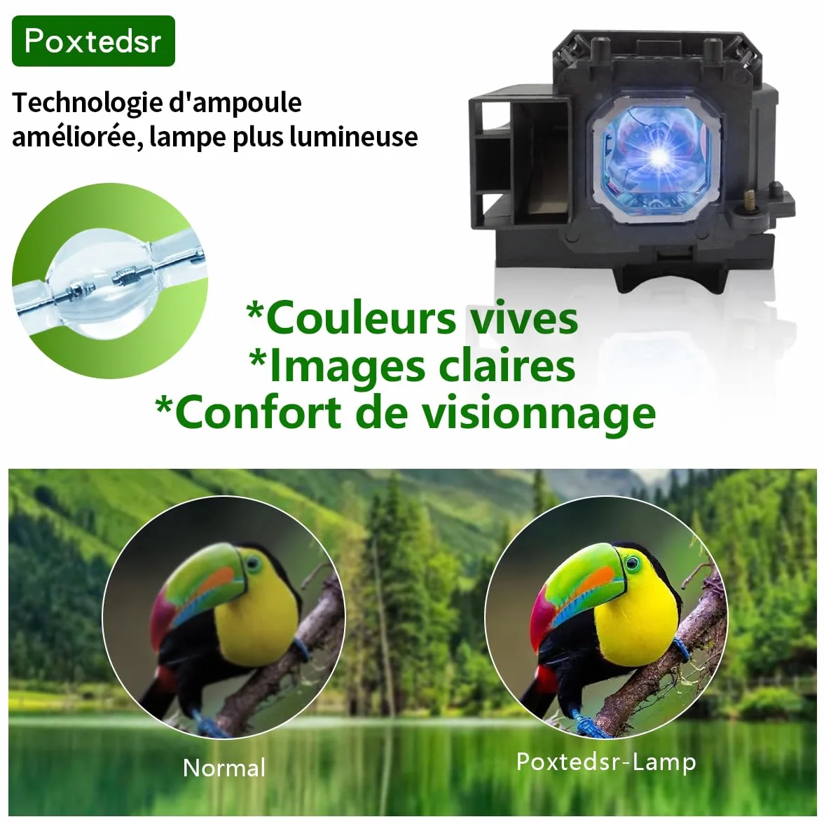 NP15LP Lampada Proiettore con Alloggiamento Compatibile con NEC M260X M260W M300X M300XG M260XS M230X M271W M271X M311X