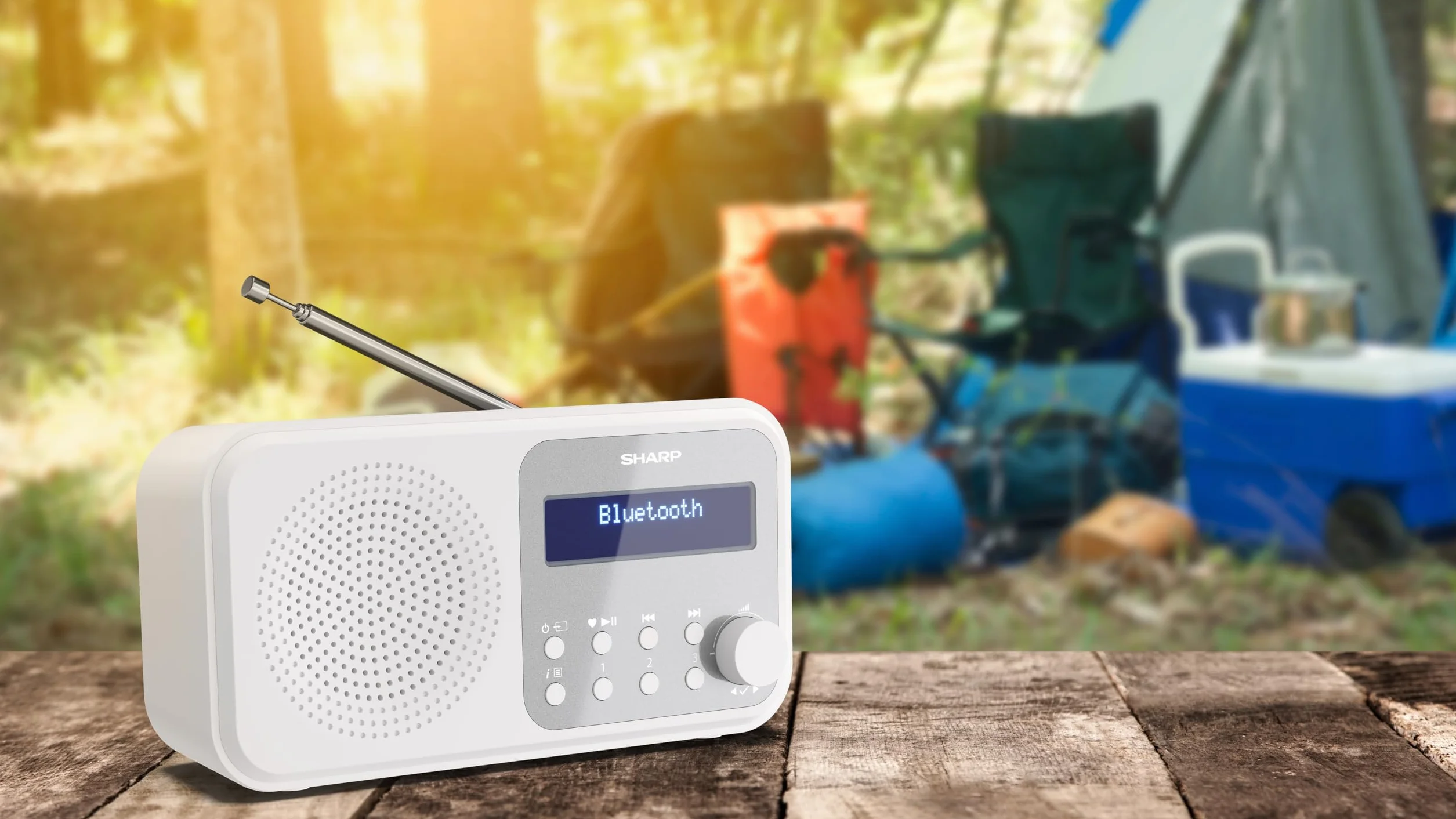 SHARP DP-420(WH) Radio DAB+/DAB/FM compatta portatile Bluetooth USB batteria rosa