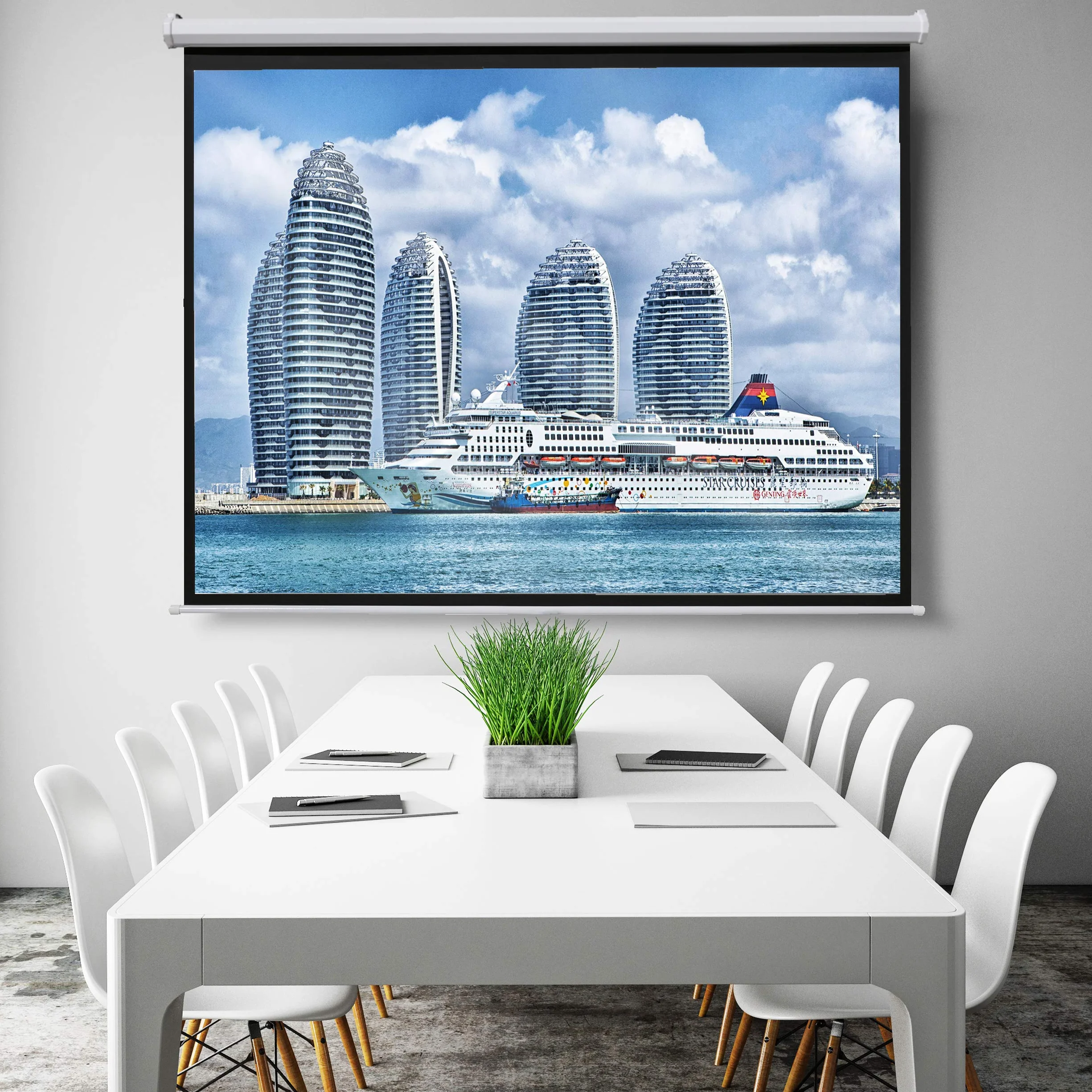 Celexon ivolum Motorleinwand 200 x 150cm,Heimkino-Leinwand