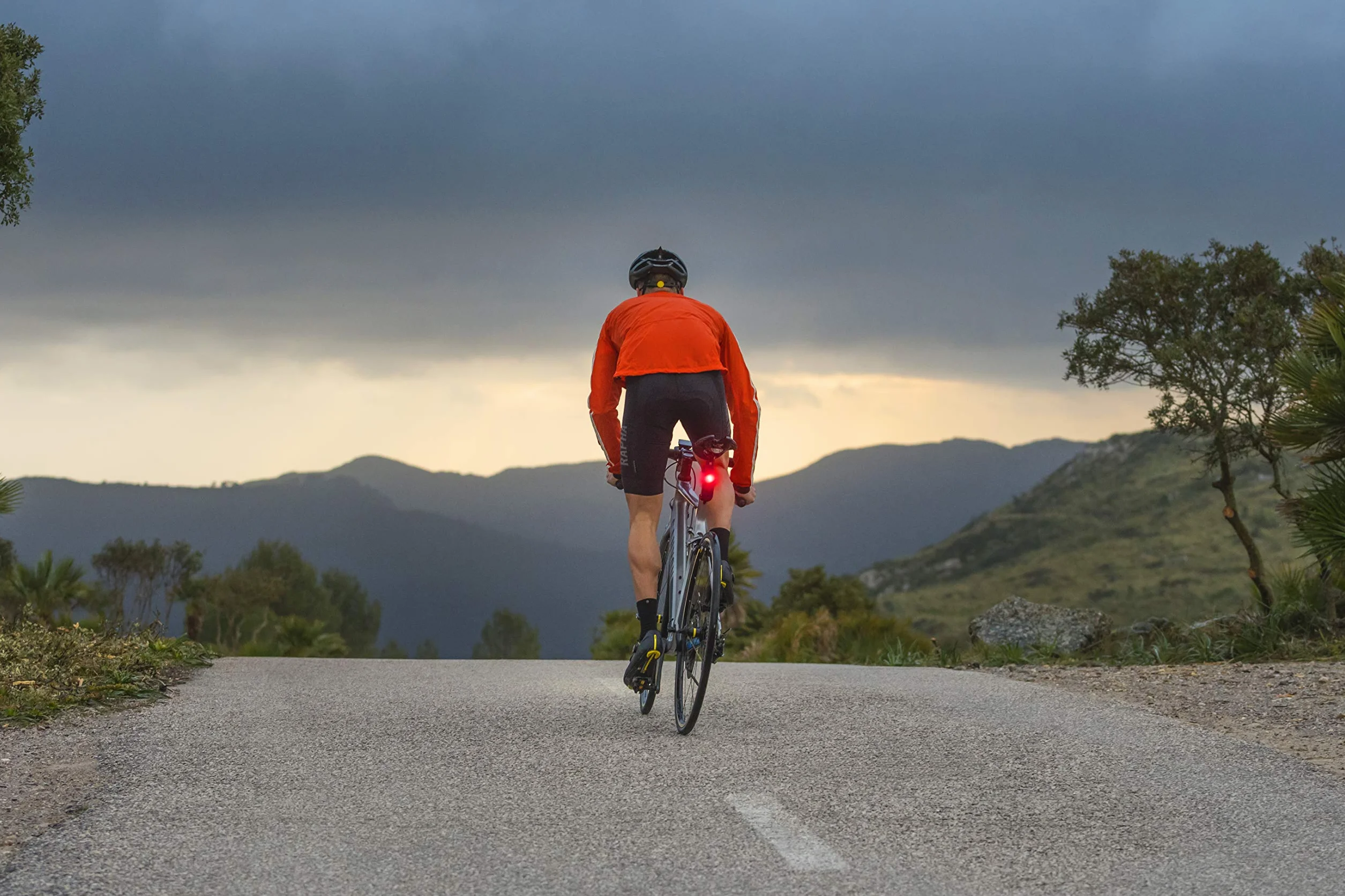 Garmin Varia RTL515, Radar con luce LED per bici, fino 65 lumen, rileva veicoli da 140 m