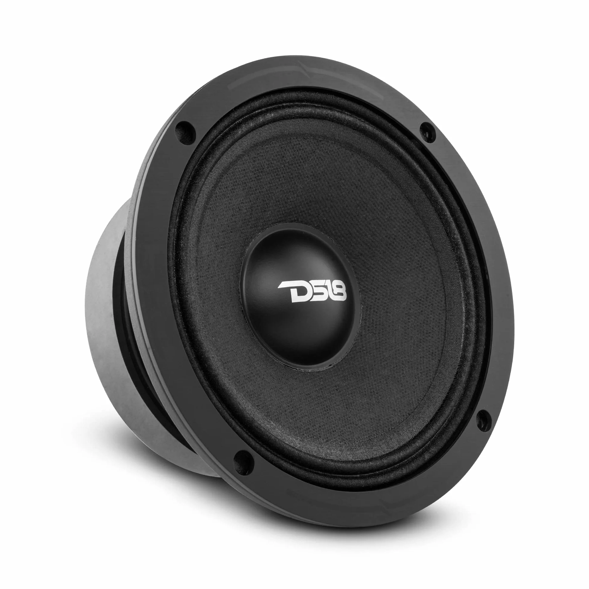 DS18 1 PRO-ZXi6M mid-range diffusore da 16,5 cm 165 mm 6,5", 300 watt rms 600 watt max, impedenza 8 ohm, sensibilità 97 db spl, party, cassa acustica, casa, 1 pezzo