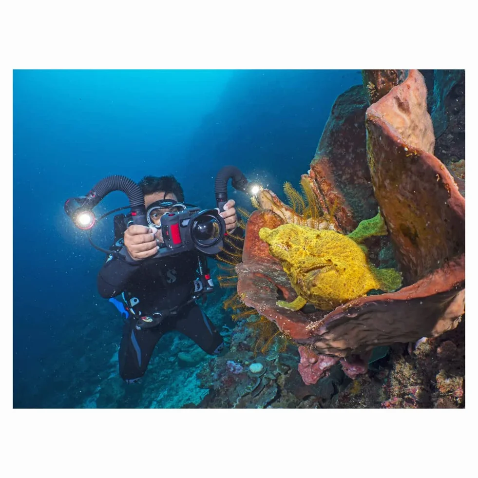 SeaLife Sea Dragon 5000+ with Color Boost Light Head (SL680-1)
