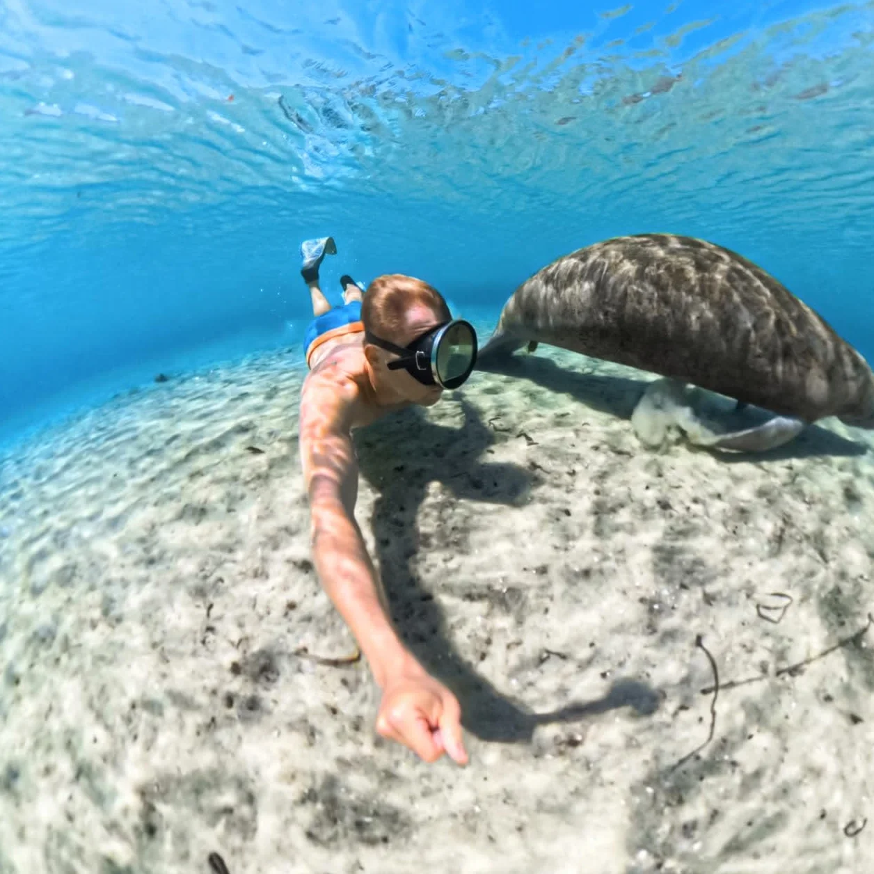 Insta360 Custodia invisibile per immersioni X5