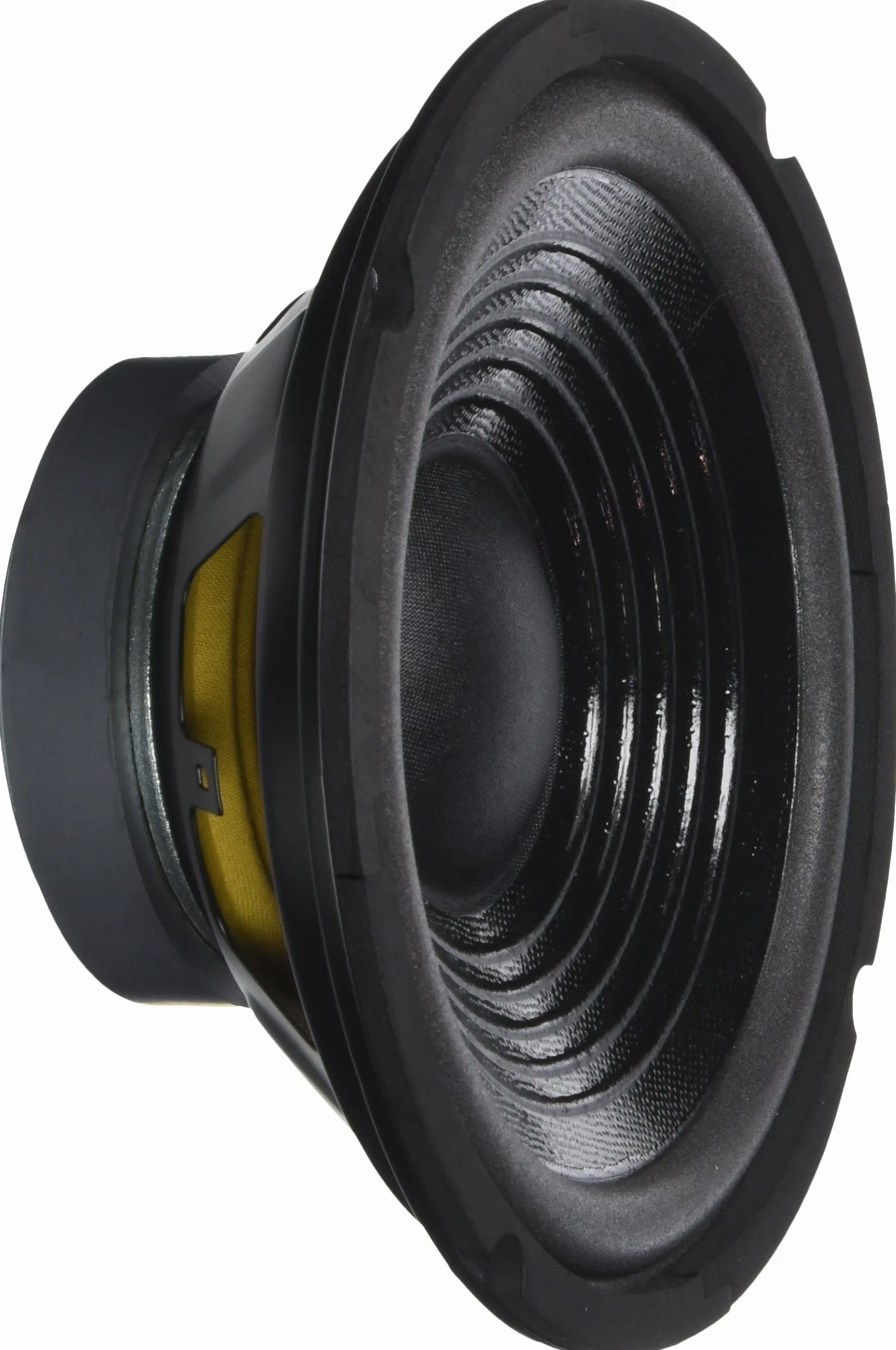 Altoparlante Subwoofer CHELLY-8 8 Ohm 100 Watt