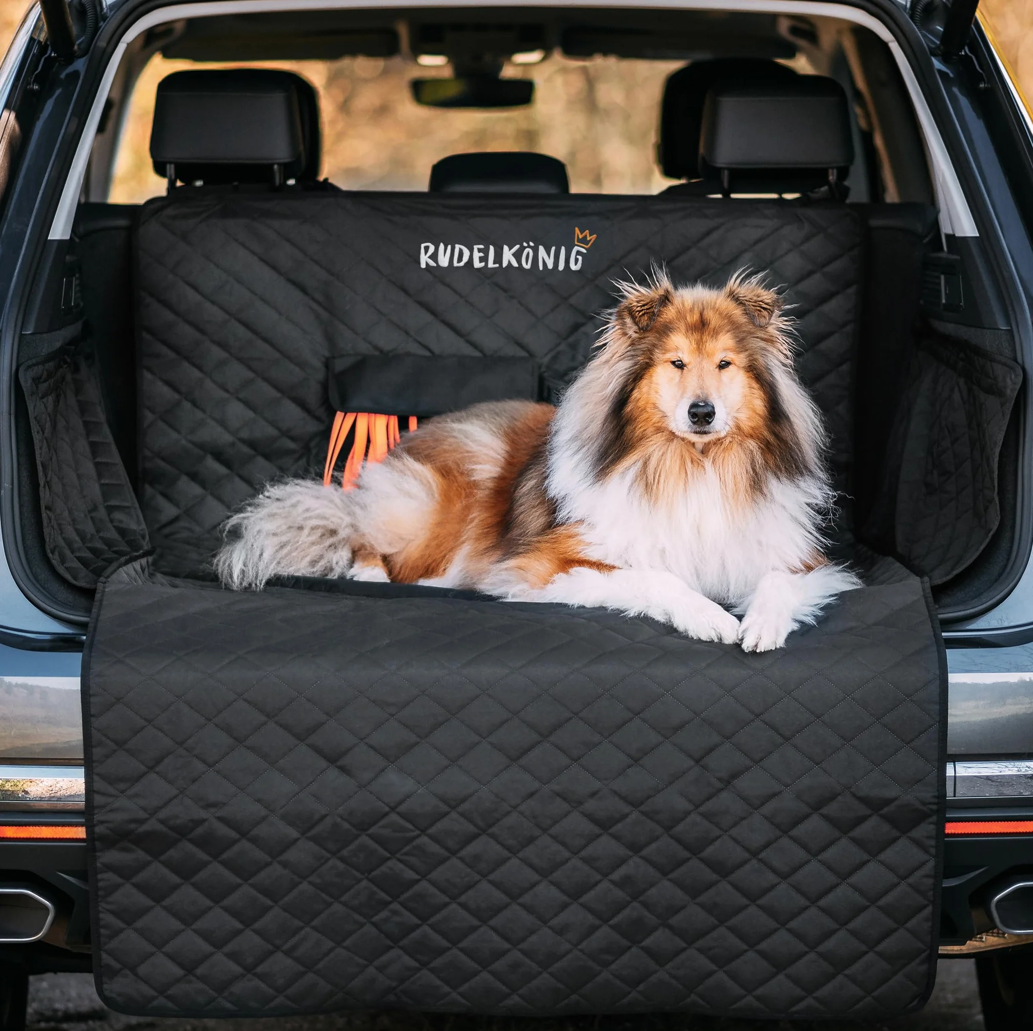 Rudelkönig Telo Auto per Cani Copertura Bagagliaio Auto Idrorepellente Rivestimento Bagagliaio per Cani Antiscivolo