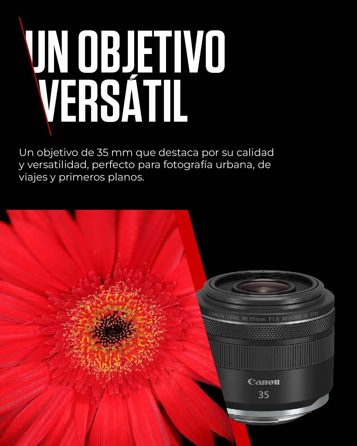 Canon Obiettivo RF 35mm F1.8 MACRO IS STM - Obbiettivo Fisso Grandangolare Veloce con Stabilizzatore a 5 Stop | Compatibile con Canon Sistema EOS R