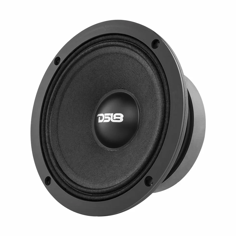 DS18 1 PRO-ZXi6M mid-range diffusore da 16,5 cm 165 mm 6,5", 300 watt rms 600 watt max, impedenza 8 ohm, sensibilità 97 db spl, party, cassa acustica, casa, 1 pezzo