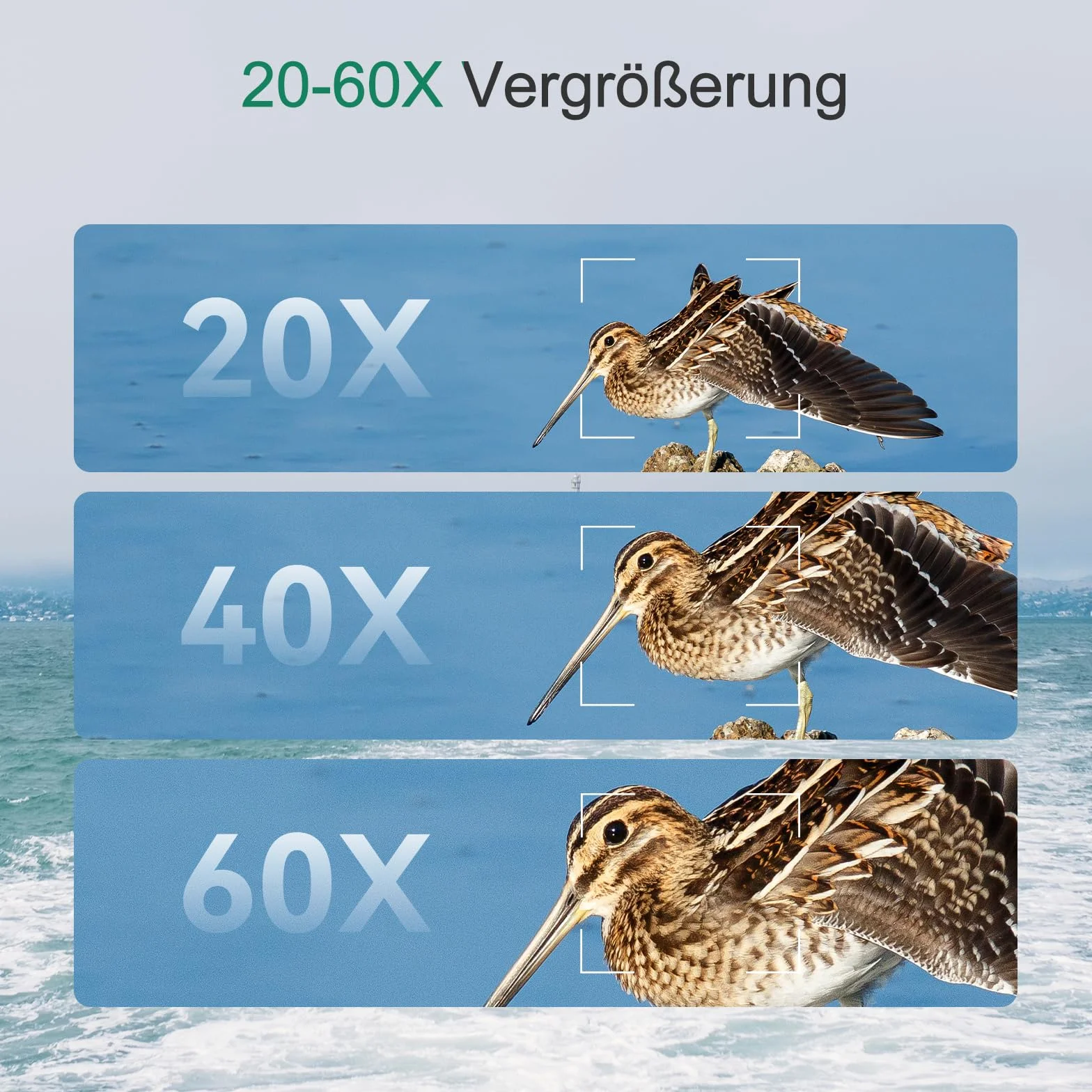 Svbony SV406P ED Cannocchiale, 20-60X80mm 1.25” Zoom Cannocchiali con Doppia Messa a Fuoco FMC BAK4, Cannocchiale per Birdwatching Fotografia Astronomica Casuale