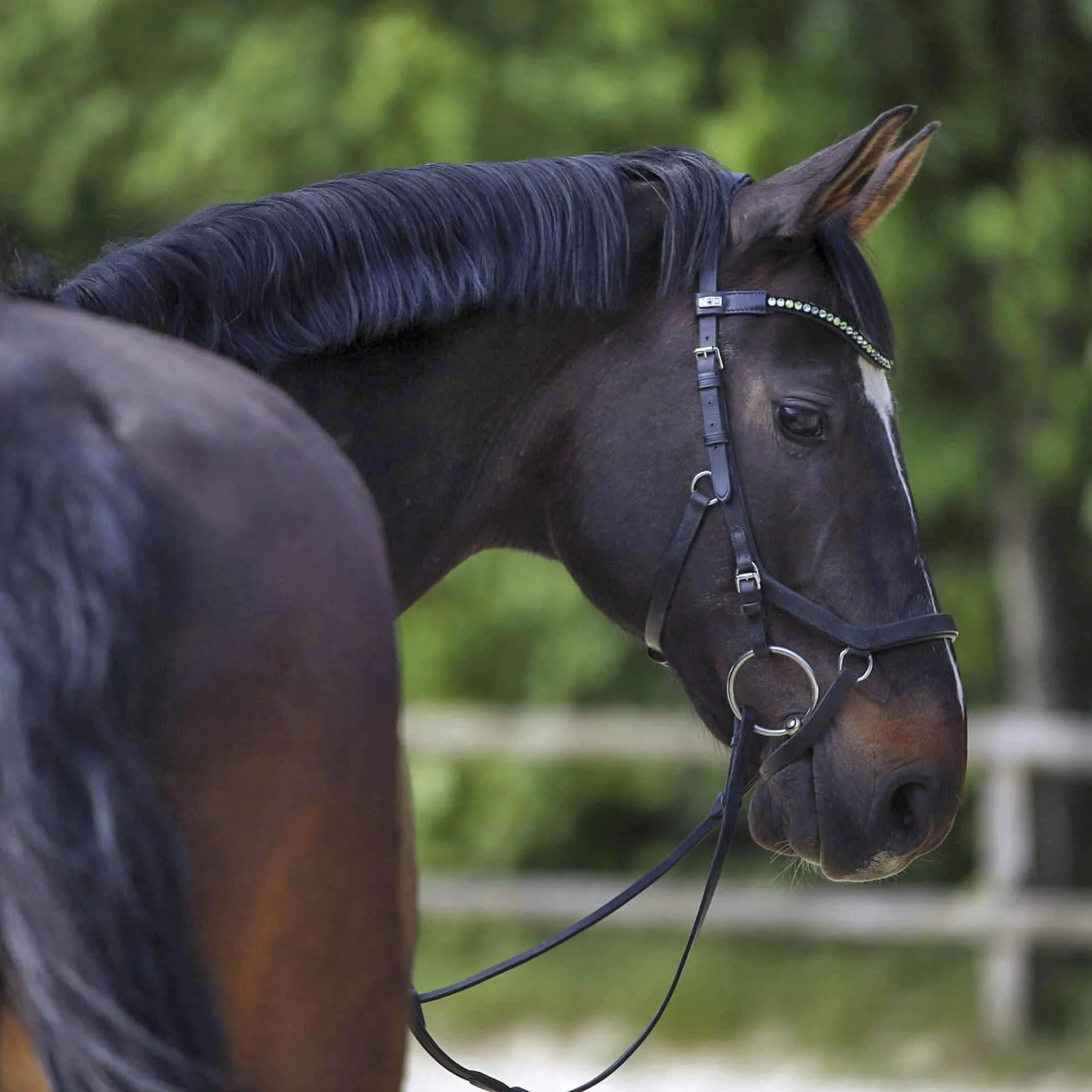 Sprenger - KK Ultra Double Jointed Loose Ring Snaffle,SST-Rings, 18mm - SENSOGAN/AURIGAN