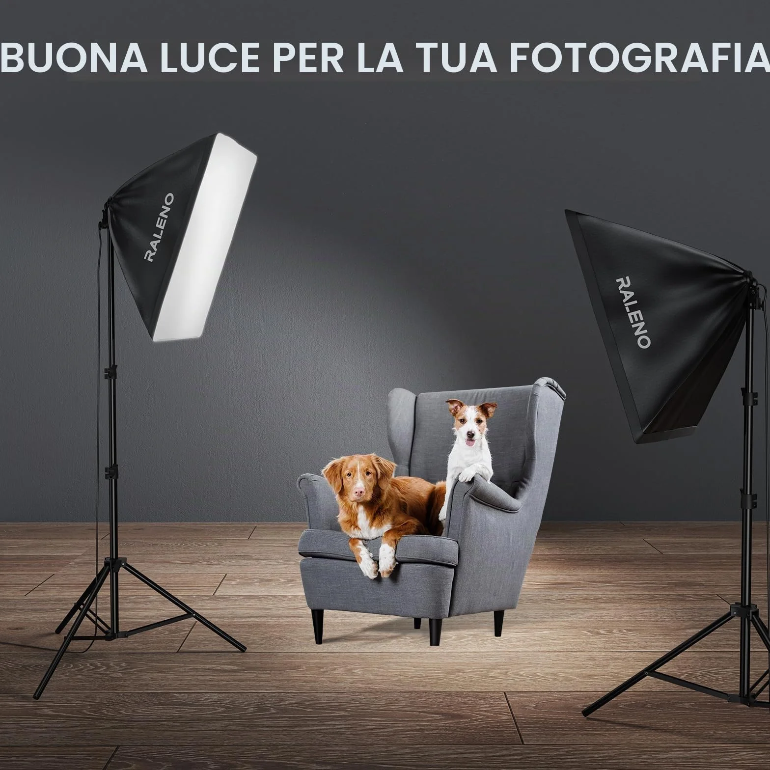 RALENO Softbox 2 x 50W LED Softbox Set per Studio Fotografico, 2 x 50x50 cm, Luce Fotografica con Lampadina da 5500K e Treppiedi, Lampada Fotografica per Ritratti