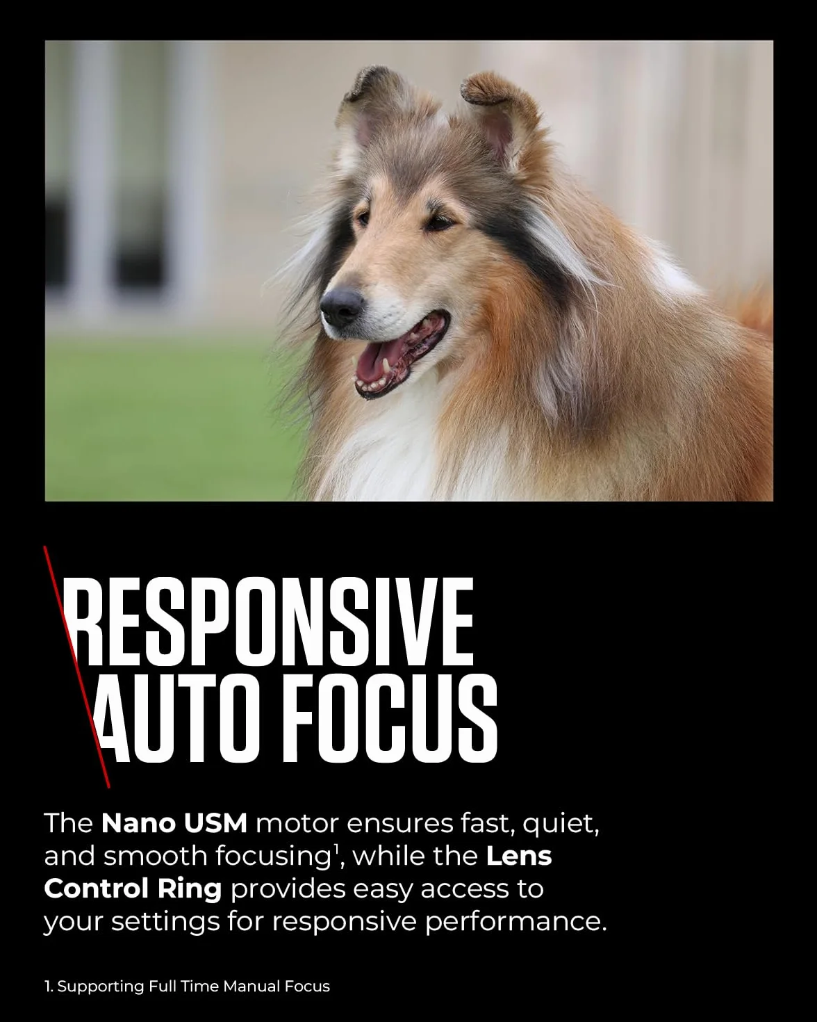 Canon Obiettivo RF 100-400mm F5.6-8 IS USM Teleobiettivo Zoom Stabilizzatore Ottico 5,5 Stop