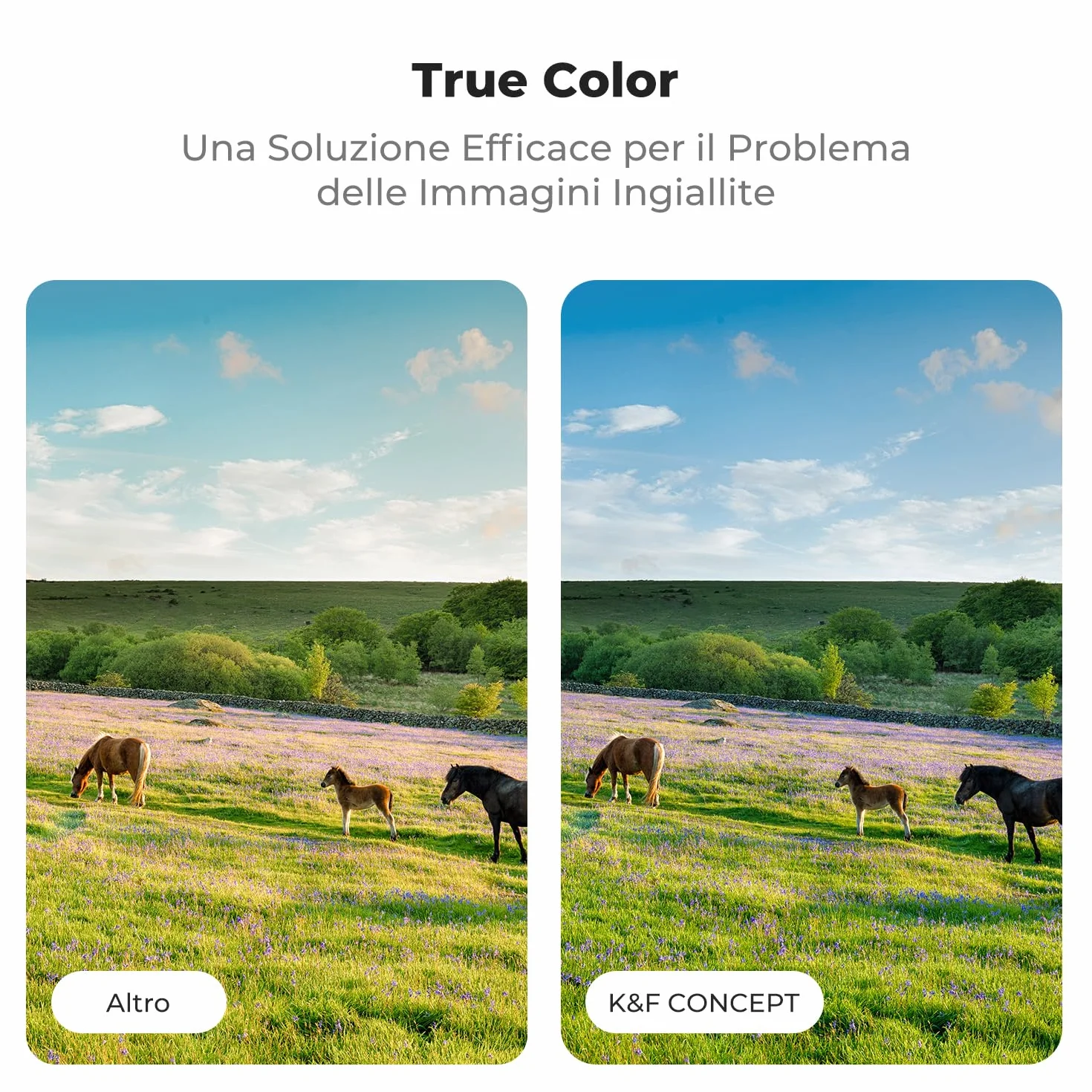 K&F CONCEPT Nano-Xcel 82MM ND2-32 Variabile Filtro True Color & Riflettività Ultrabassa，Filtri Densità Neutra ND2-32(1-5 Stops）in Vetro Ottico con 28 Strati Nano Rivestimento