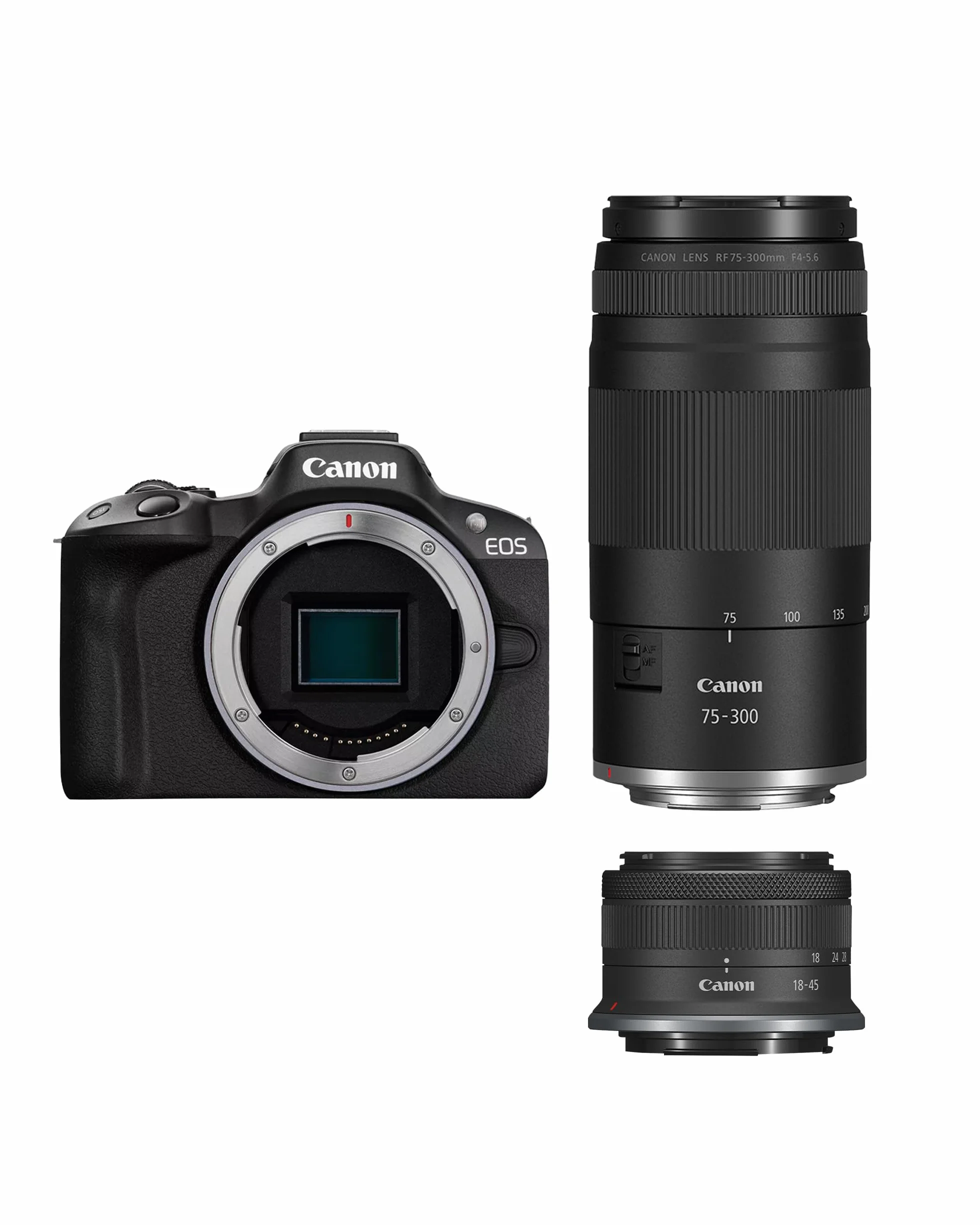 Canon EOS R50 APS-C Mirrorless + RF-S 18-45 + 75-300mm Kit Doppio Zoom (24,2 Mp,- Fino a 15fps, DIGIC X, Video 4K UHD Fino 30p, Dual Pixel CMOS Auto Focus II, Disp, Lay Touch Ordinetabile 7,5 cm)
