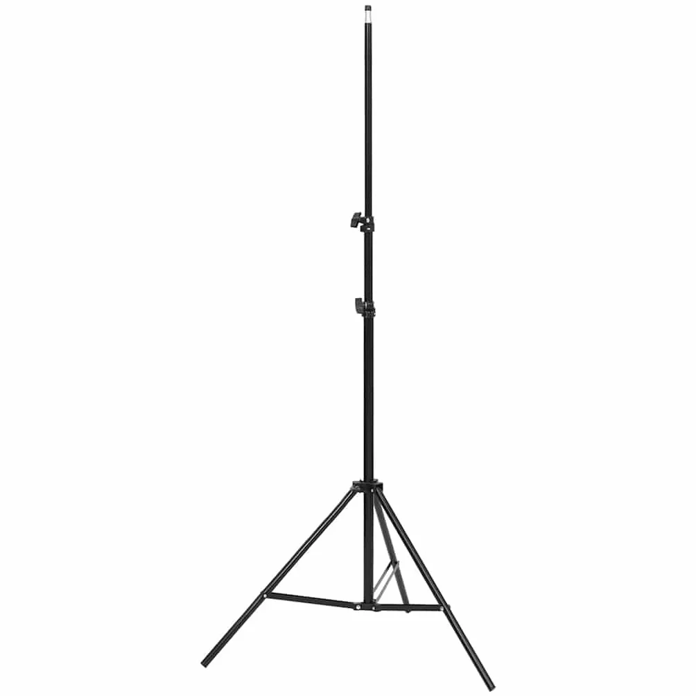 vidaXL Kit per Studio Fotografico con Set di Luci e Fondale
