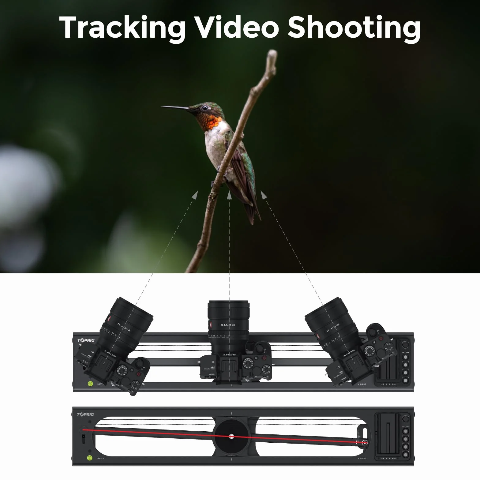 Accsoon Toprig S40 Slider per Fotocamera Motorizzato 15,7"/40cm, lega di alluminio Tramite Pulsante o Controllo APP Bluetooth, Time Lapse, Focus Shot, Panoramica a 120°, per Fotocamera, DSLR, etc.