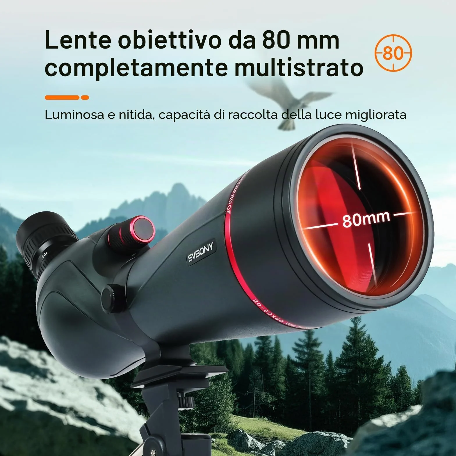 Svbony SV406 20-60x80mm Cannocchiale, HD FMC BAK4, Doppia Messa a Fuoco, 1,25'' Oculare Rimovibile, IPX7 Impermeabile, con Treppiede, Borsa, per Birdwatching, Animali Selvatici, Paesaggi, Tiro a Segno
